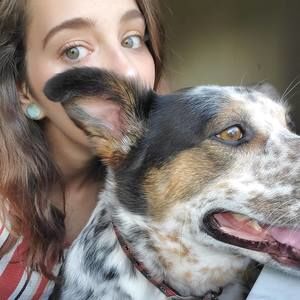 Meet your Posher, Alexa